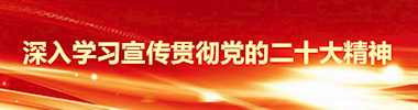 党的二十大精神